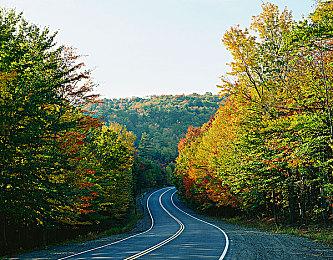 AK蝾螈 肉鸽射击游戏《AK-xolotl》Steam页面上线